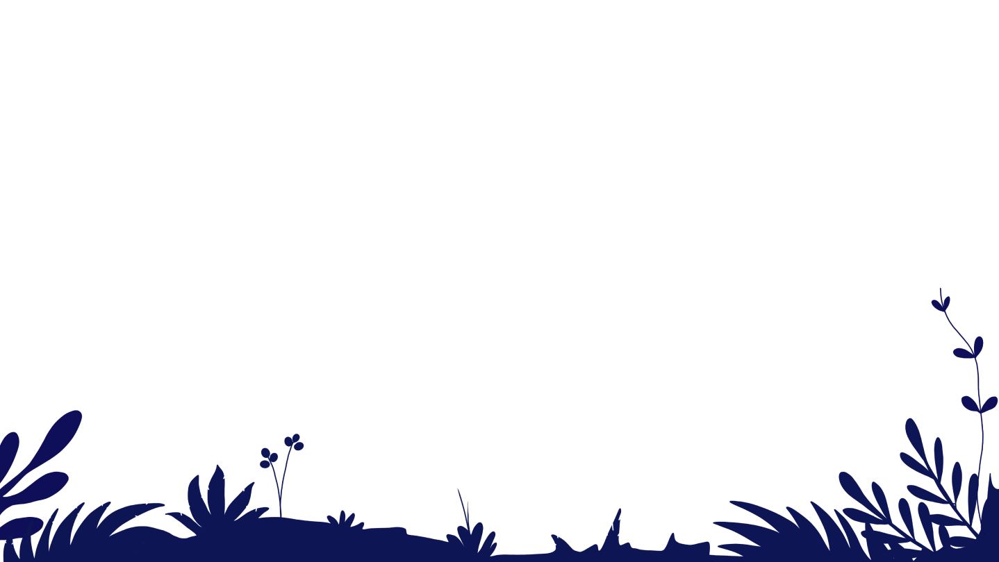 Mountain trail background